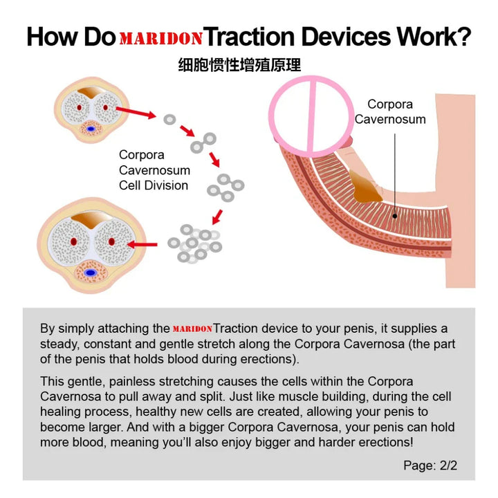 Male Penis Enhancement Enlarger Tension Device Physical Exercise Vacuum Penis Pump - fromasia2america.shop