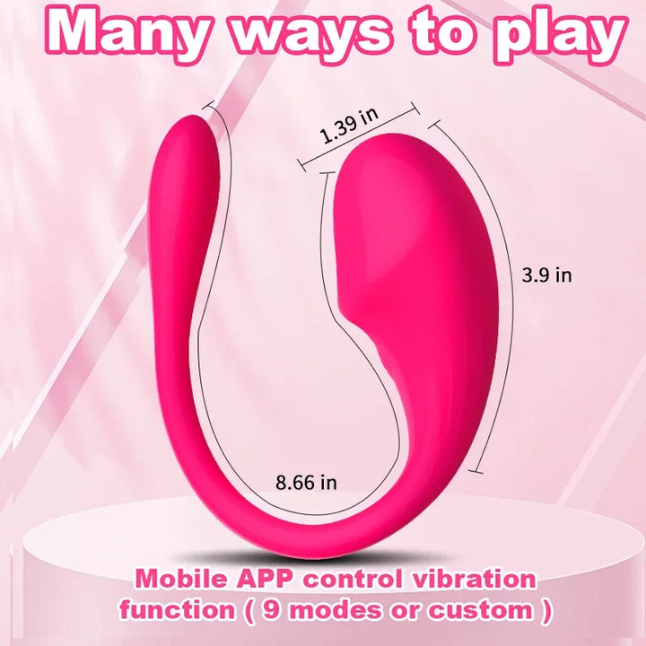 APP Bluetooth Control Vibrator for Women Clitoris G Spot Vagina Dildo Wearable Massager Jumping Eggs - fromasia2america.shop