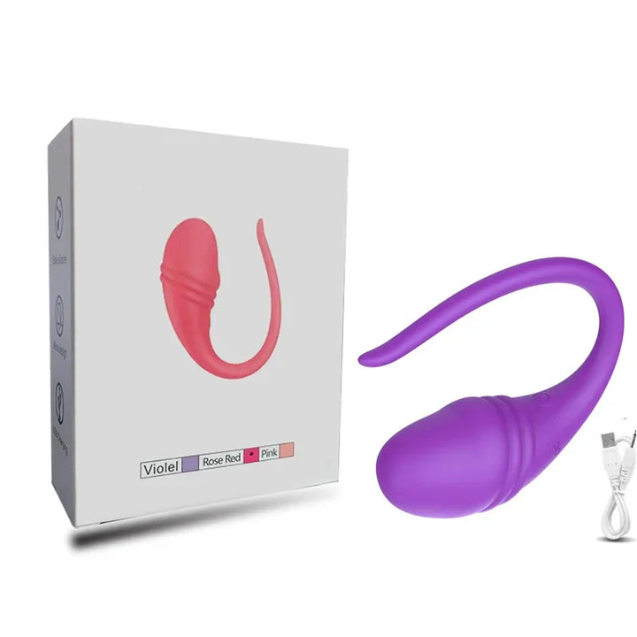 APP Bluetooth Control Vibrator for Women Clitoris G Spot Vagina Dildo Wearable Massager Jumping Eggs - fromasia2america.shop