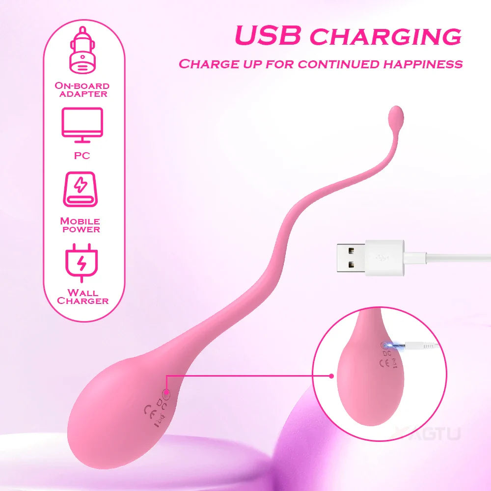 Sex Toys Remote Control Vibrator Female Wireless Clitoris G Spot Stimulator Vibrating Love Egg - fromasia2america.shop