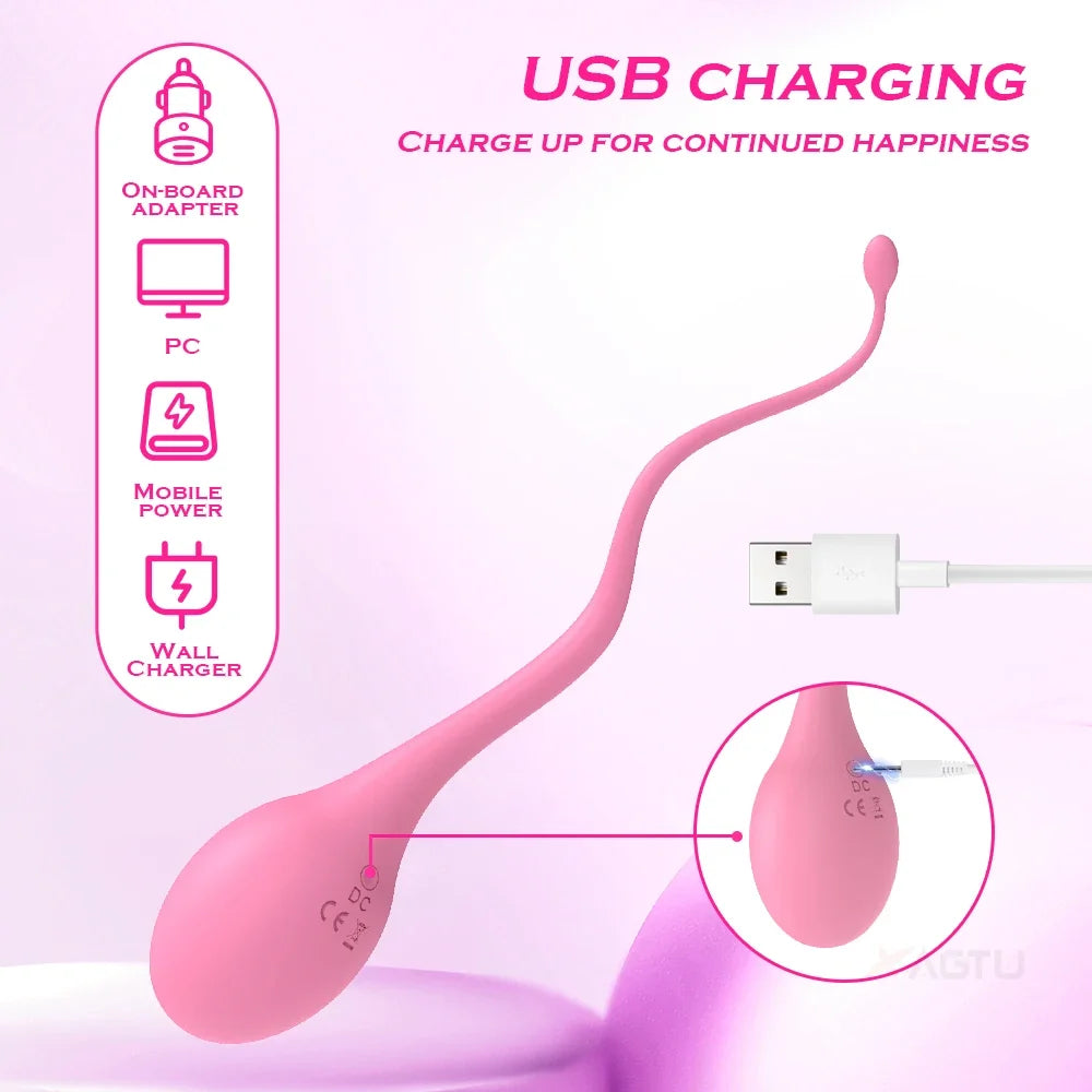 Remote Control Vaginal Vibrator For Women Nipple Clitoris Stimulator Wear Vibrating Love Egg Massager - fromasia2america.shop